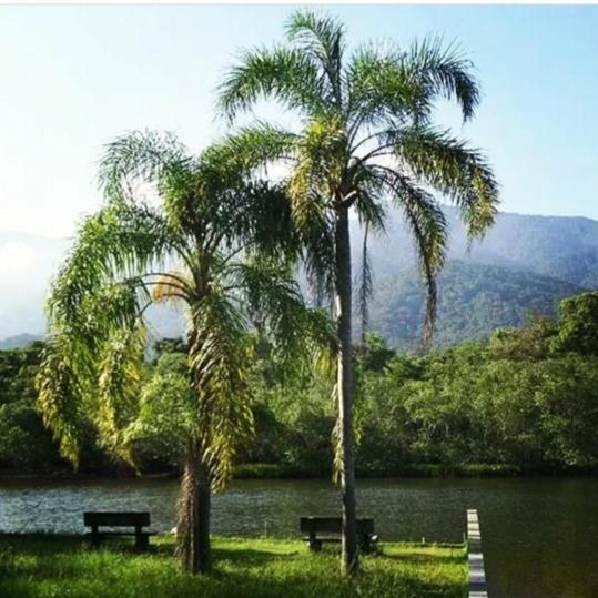 Suites Proximo Ao Rio Jaguareguava Em 伯迪亚哥 外观 照片